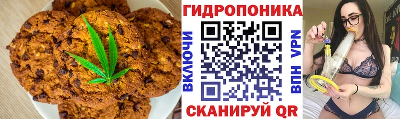 Canna-Cookies марихуана  Монино 