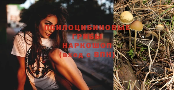 прущий лед Богородицк