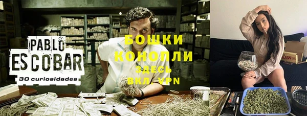 эйфоретик Богданович