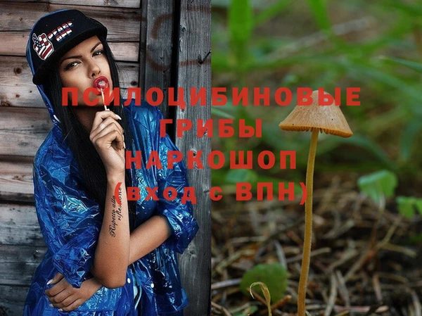 эйфоретик Богданович