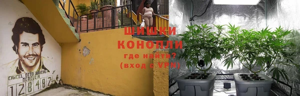 эйфоретик Богданович