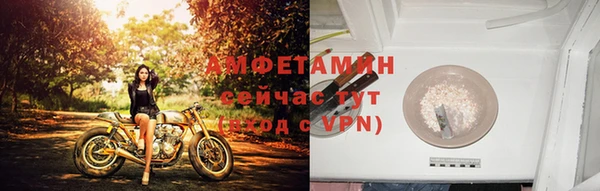 эйфоретик Богданович